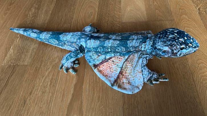 hoge kwaliteit Hagedis knuffel - 65 cm, Kinderen en Baby's, Speelgoed | Knuffels en Pluche, Nieuw, Overige typen, Ophalen