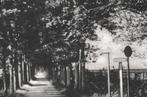 962290 Driebergen Utr Rijsenburg Klein Loolaan Nette oude k, Verzamelen, Ansichtkaarten | Nederland, Ophalen of Verzenden, 1920 tot 1940