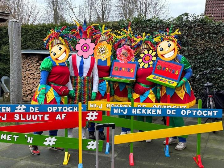 Loopgroep carnaval, Kleding | Dames, Carnavalskleding en Feestkleding, Gedragen, Carnaval, Maat 38/40 (M), Ophalen of Verzenden
