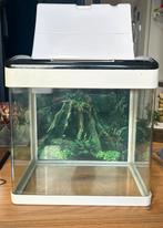 20 liter aquarium, Dieren en Toebehoren, Vissen | Aquaria en Toebehoren, Ophalen, Zo goed als nieuw, Leeg aquarium