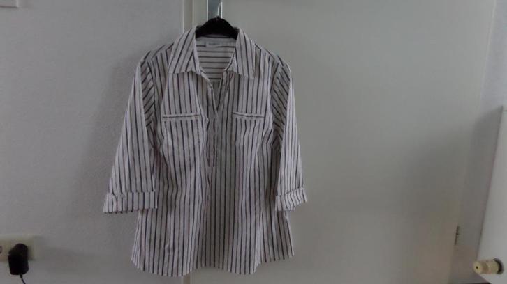 aparte wit / bruin gestreepte blouse met gouddraad erdoor L, Kleding | Dames, Blouses en Tunieken, Zo goed als nieuw, Maat 42/44 (L)