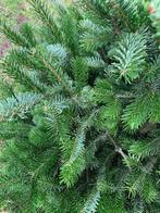 Gezocht kerstboom takken, Tuin en Terras, Planten | Bomen, Ophalen, Bloeit niet, Volle zon, Overige soorten