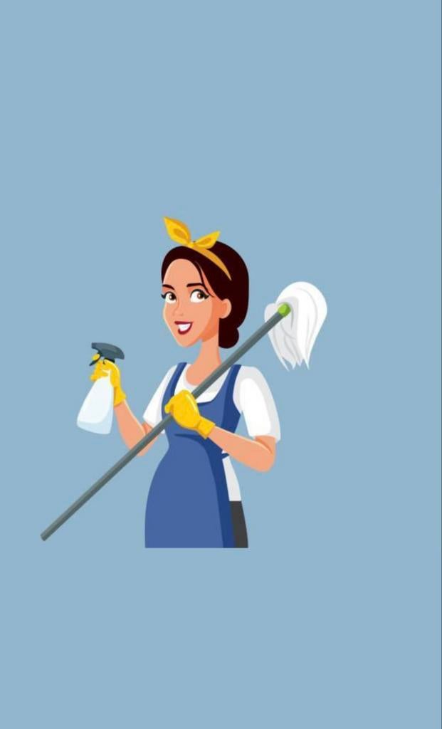 Schoonmaak inclusief alle materiaal