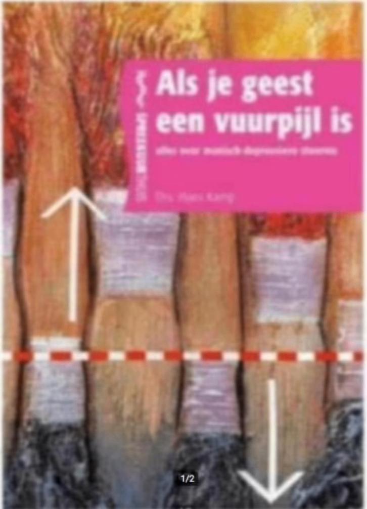 Als je geest een vuurpijl is (Manisch depressief) Hans Kamp, Boeken, Ophalen of Verzenden, Zo goed als nieuw
