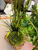 Versiering terrarium nep planten., Dieren en Toebehoren, Reptielen en Amfibieën, Overige soorten