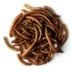 5kg gedroogde meelwormen voor de buitenvogels, Nieuw, Ophalen of Verzenden, Nvt, Eten en Drinken