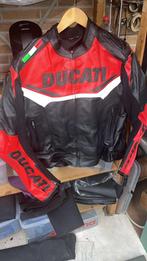 DUCATI Leren motorjas Nieuw! Maat M/L, Motoren, Kleding | Motorkleding, Nieuw met kaartje, Heren, Jas | leer, Ophalen of Verzenden