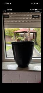 34 bij 30 en 16 diep, Tuin en Terras, Bloempotten, Ophalen, Rond, Zo goed als nieuw, Minder dan 40 cm