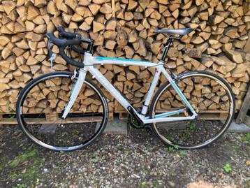 Bianchi damesracefiets Via Nirone 7 ( 53 cm). beschikbaar voor biedingen