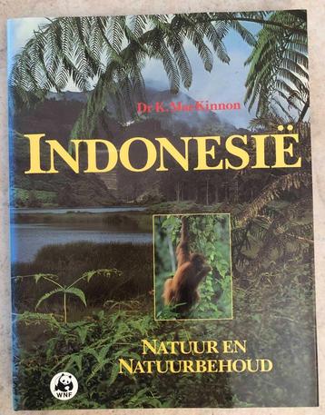 K. MacKinnon - Indonesië beschikbaar voor biedingen
