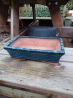 Grote Bonsai schaal / blauw glazuur, Rond, Ophalen of Verzenden, Zo goed als nieuw, Aardewerk