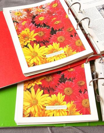 Creatief met Bloemen - 2 Lekturama mappen -> Samen 10 euro. beschikbaar voor biedingen