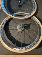 Shimano RS-81 C50 carbon clincher wielset velgremmen, Fietsen en Brommers, Fietsonderdelen, Wiel, Gebruikt, Ophalen of Verzenden
