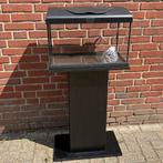 Aquarium met zuil, Dieren en Toebehoren, Vissen | Aquaria en Toebehoren, Ophalen, Zo goed als nieuw, Leeg aquarium