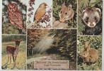 Lage Vuursche 7 luik Dieren Uitg: Rec. oord De Zeven Linden, Verzamelen, Ansichtkaarten | Nederland, Verzenden, Ongelopen, Utrecht