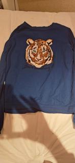 Blauw WE shirt met glittertijger maat 158/164, Kinderen en Baby's, Kinderkleding | Maat 158, Gebruikt, WE, Meisje, Ophalen of Verzenden