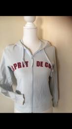Nieuw: vest van Esprit maat S met capuchon, Ophalen of Verzenden, Nieuw, Maat 36 (S), Blauw