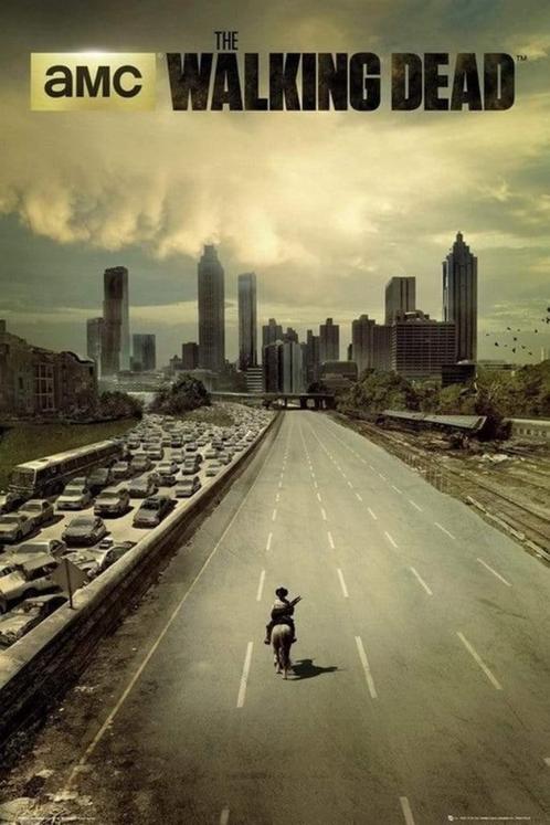 Poster - The Walking Dead - City - 61 x 91,5 cm - NIEUW, Verzamelen, Posters, Nieuw, Film en Tv, Rechthoekig Staand, Ophalen of Verzenden