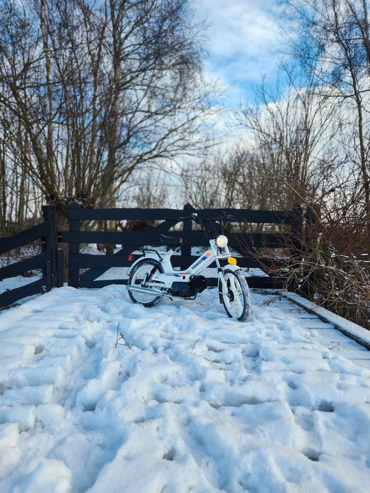 Tomos A35 Disco Oldtimer  - Strak! - te koop of teruil., Fietsen en Brommers, Brommers | Tomos, Gebruikt, Overige modellen, Maximaal 45 km/u