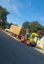 Tarwe stro grote pakken., Ophalen of Verzenden, Vee