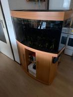 Jewel aquarium geheel compleet met onderkast, Ophalen, Gebruikt, Gevuld zoetwateraquarium