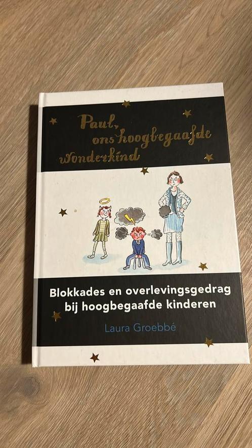 Laura Groebbé - Paul, ons hoogbegaafde wonderkind, Boeken, Zwangerschap en Opvoeding, Zo goed als nieuw, Zwangerschap en Bevalling