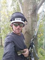 boom snoeien of kappen