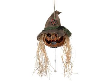 EUROPALMS Halloween Cursed Pumpkin Head 70cm beschikbaar voor biedingen
