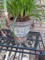 Gietijzeren planten bakken, Tuin en Terras, Bloembakken en Plantenbakken, Ophalen of Verzenden, Rond, Metaal, Minder dan 60 cm