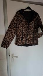najaars jas met print, Ophalen of Verzenden, Zo goed als nieuw, Maat 38/40 (M)
