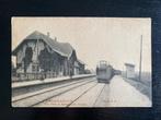 tulpkaart Zwammerdam Station S.S. trein, Zuid-Holland, Ongelopen, Voor 1920, Verzenden