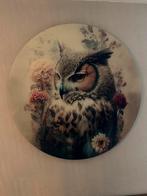 Uil.  Muurcirkel 1 meter doorsnee, Ophalen, Zo goed als nieuw, Schilderij, 75 cm of meer