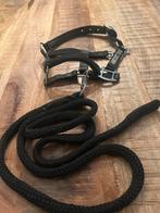 Paardzoektbaas halster maat mini, Dieren en Toebehoren, Ophalen of Verzenden, Zo goed als nieuw, Overige soorten