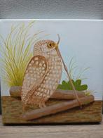 Velduil Worm laatste keer afgeprijsd.!!!!!!!!, Ophalen of Verzenden