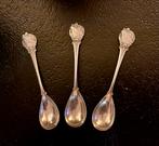 KNIL Transport Schepen, Verzamelen, Militaria | Algemeen, Verzenden, Overige soorten, Nederland, Overige typen