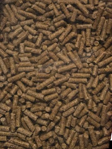 Carp pro feed eco pellets 4mm 20kg beschikbaar voor biedingen