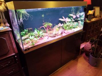 Aquarium OASE Highline 400 complete set