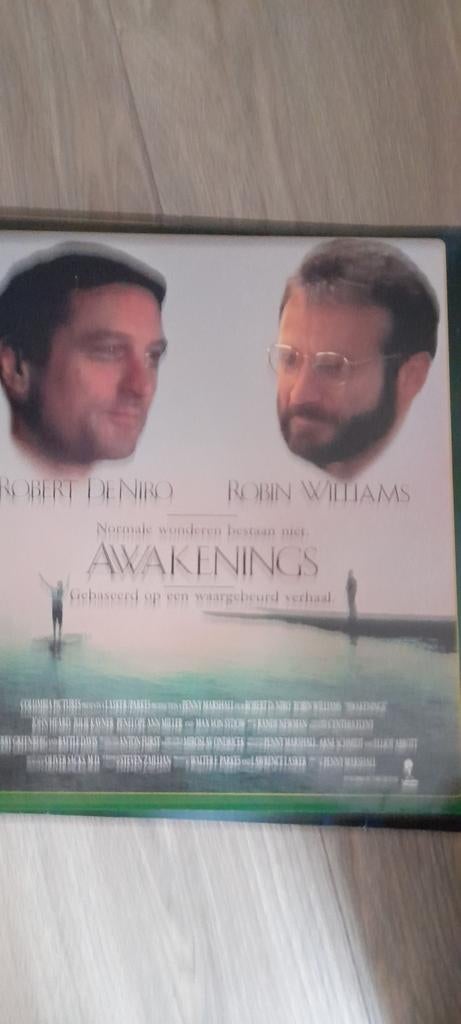 Laserdisc  Awaking   PAL, Ophalen of Verzenden