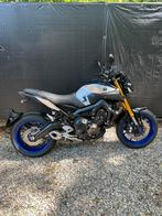 MT-09 SP / 2019/ 17500 km / Ohlins / quickshifter, Bedrijf, Meer dan 35 kW, Naked bike, 900 cc