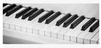 Toetsenist(e) gezocht, Muziek en Instrumenten, Keyboards, Ophalen of Verzenden, Nieuw, Overige aantallen, Overige merken