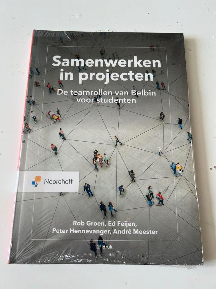 Rob Groen - Samenwerken in projecten., Boeken, Wetenschap, Zo goed als nieuw, Ophalen of Verzenden