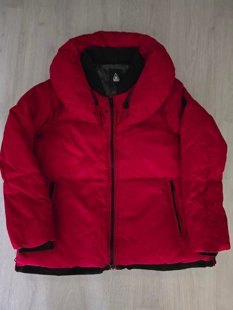 Nieuwe Gaastra winterjas - 3XL (xl) - Rood, Gaastra, Maat 46/48 (XL) of groter, Nieuw, Ophalen of Verzenden