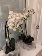 Orchideeen, Ophalen of Verzenden, Zo goed als nieuw