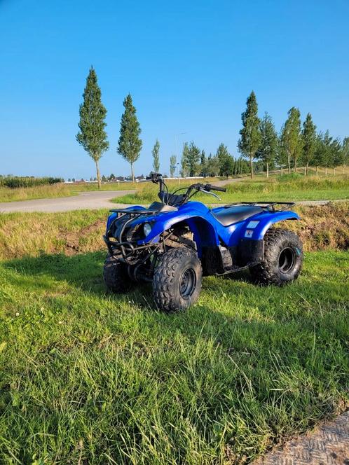 Yamaha grizzly 125cc, Fietsen en Brommers, Minibikes, Midibikes en Pitbikes, Ophalen of Verzenden