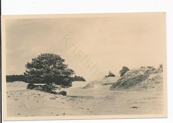 Hoenderloo - Zandverstuivingen [KRST009-0350, Verzamelen, Ansichtkaarten | Nederland, Ongelopen, Gelderland, 1940 tot 1960, Verzenden