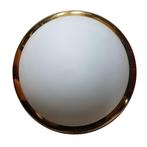 Grote wandlamp of plafondlamp - diameter: 49 cm, Huis en Inrichting, Lampen | Plafondlampen, Gebruikt, -, -, Ophalen of Verzenden