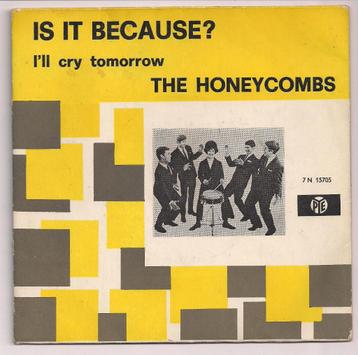 The Honeycombs- Is it Because beschikbaar voor biedingen