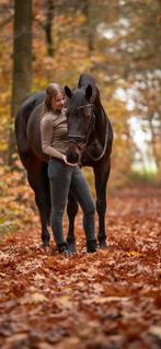 Mooie en brave 7- jarige merrie, Dieren en Toebehoren, Paarden, Merrie, Niet van toepassing, Ontwormd, 7 tot 10 jaar