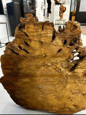Epoxy boomstam blad beschikbaar voor biedingen