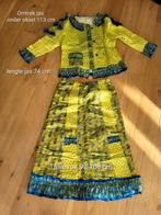 Geel Blauw Carnavalspak met Hoed en Pruik XL, Carnaval, Zelfgemaakt, Maat 42/44 (L), Ophalen of Verzenden